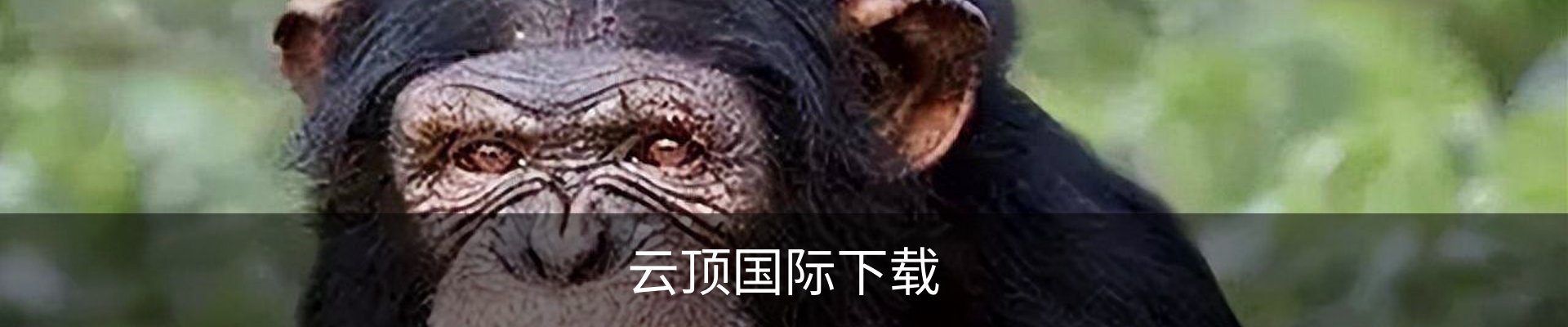 云顶国际联系方式